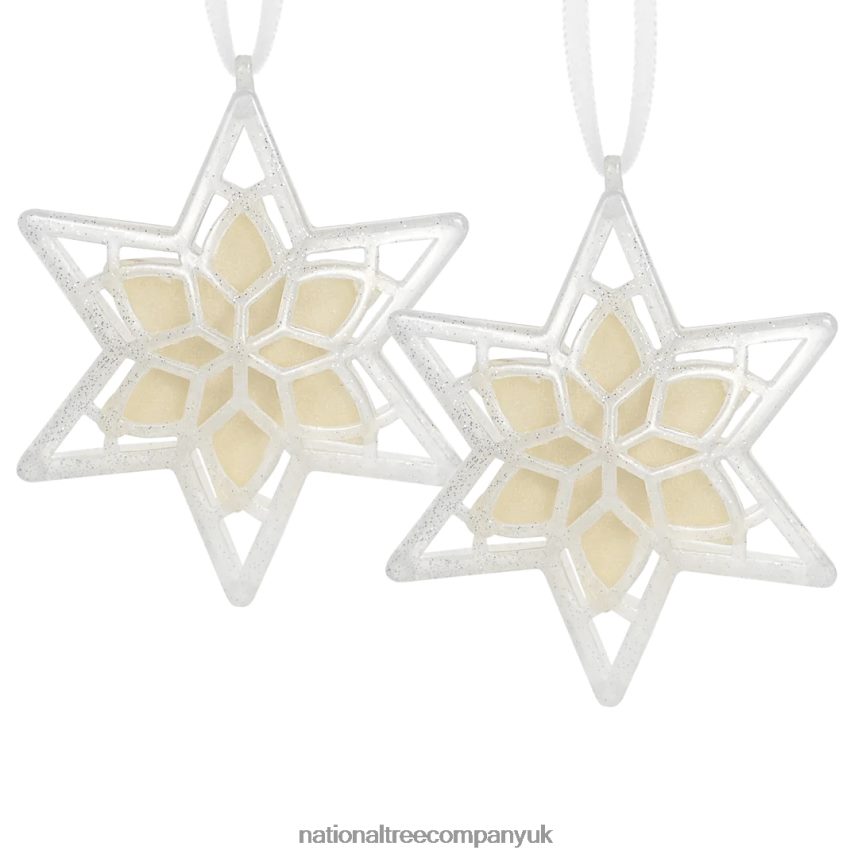 decoration | National Tree Company Scentsicles Scented Star Ornament White Winter Fir 2-Pack F2L4F543